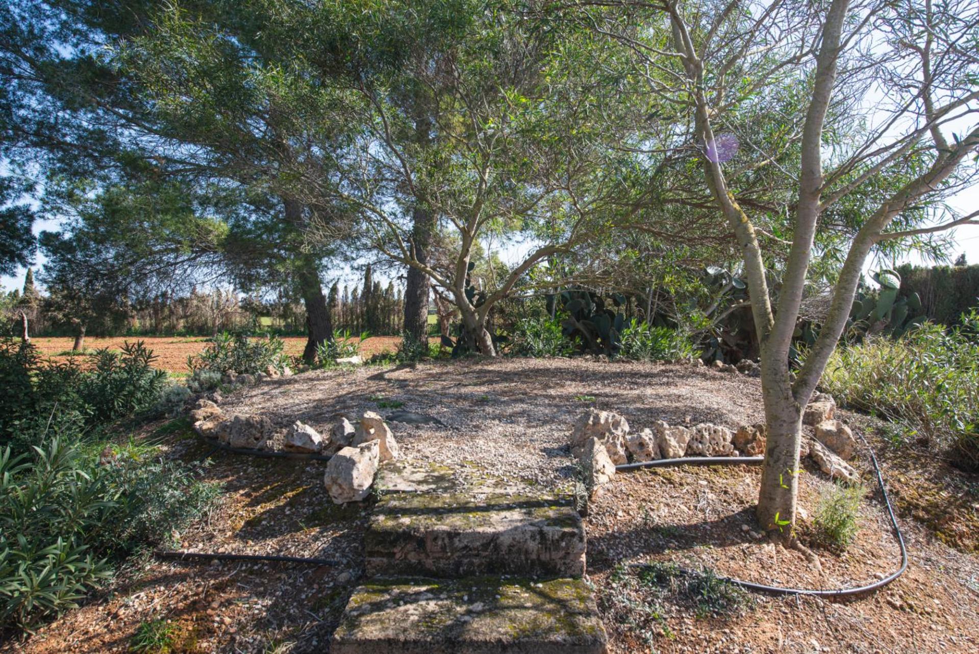Ferienhaus Es Ravellar - Campos *